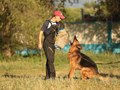 Фото компании  KARVIDEAN 6