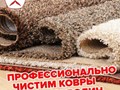 Фото компании  Пионер 3