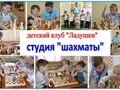 Студия Шахматы в Митино, Орехово-Борисово