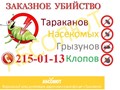 АБСОЛЮТ профессионально уничтожим клопов в Красноярске, тараканов, муравьев, блох звоните: 215-01-13