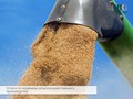 Услуги по ведениям сельскохозяйственного производства