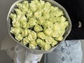 Фото компании ООО Пелюстки 4