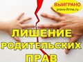 Фото компании  Опытные юристы СПб 6