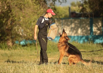 Фото компании  KARVIDEAN 6