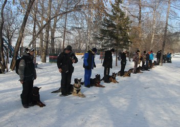 Фото компании ОРО Омский областной центр спортивно-служебного собаководства 1