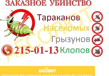 Убиваю насекомых. Заказные убийства тараканов. Заказные убийства клопов. Заказные убийства тараканы клопы. Номера телефонов по травлению тараканов.