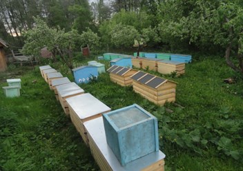 Фото компании РОО Центр Русского Пчеловодства 1