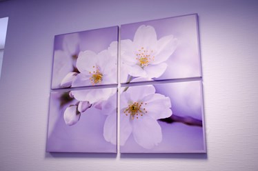 Фото компании ИП Фото Simvol 2