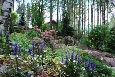 Сад в Альпино.