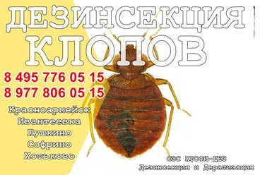 #дезинфекция 
#уничтожениеклопов 
#дезинсекция 
#уничтожениеклопов 
#уничтожениенасекомых 
#дезинсекцияколомна 
#дезинфекцияколомна 
#уничтожениекомаровколомна 
#уничтожениеклоповколомнепрофидез