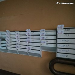 Фото компании ИП BTL Агентство Акула 63