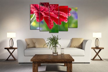 Фото компании ООО Велкамстрой 31