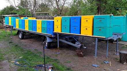 прицеп с поворотным кругом и пчеловыкаткой