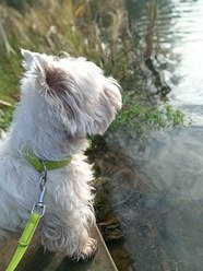 Фото компании  Зоогостиница "Маяк" 1