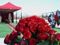 Фото компании ООО Долг 1