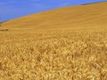 Фото компании ООО Агросиндикат 2