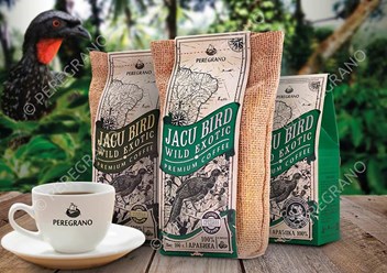 Жаку Берд – самый дорой экзотический сорт кофе