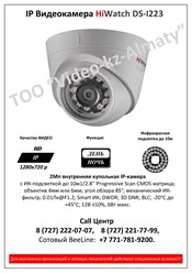 IP Видеокамера HiWatch DS-I223