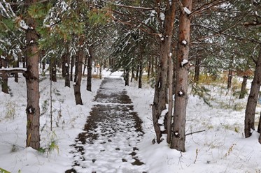 Фото компании  Три баньки, банно-гостевой комплекс 6