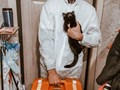 Фото компании  ВетДом 1