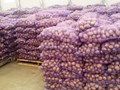 Картофель