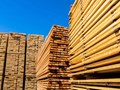 Фото компании ООО Деревянная рейка РФ 1