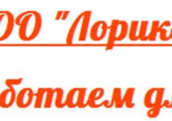 Фото компании ООО Лорикс 1