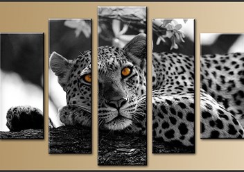 Фото компании ООО  Минитипография СМИК принт 1