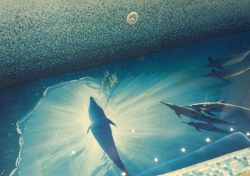 Фото компании ООО Велкамстрой 6