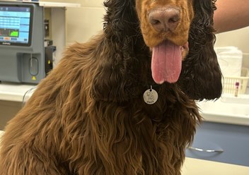 Фото компании  Ветеринарная клиника «Веда» 1