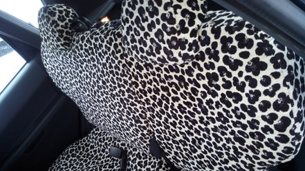 Фото компании ИП Авточехлы 9