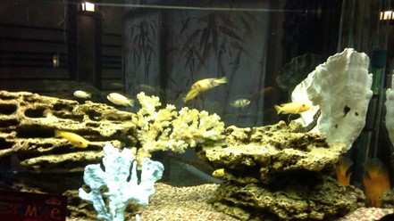 Фото компании  Якитория 14