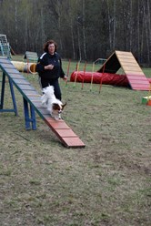 Фото компании  Кинологический центр Ясеневый 2