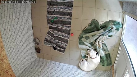 Фото компании  Зоогостиница "Маяк" 7