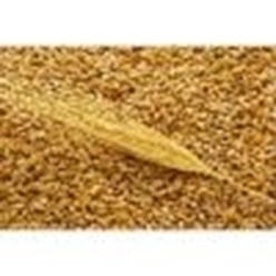 пшеница мягкая на экспорт CIF порты мира