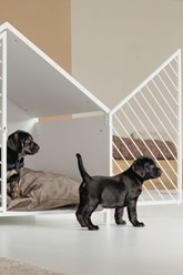 Фото компании ИП Дом для Хвоста 3