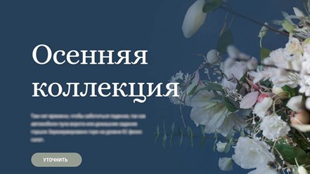 Фото компании  WSP - сайты просто 3