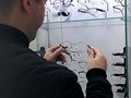 Оправы для мужчин и женщин Оптика Воронеж