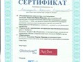 Сертификат GlobalVentum