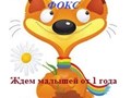 Фото компании ИП Ясли - клуб "ФОКС" 1