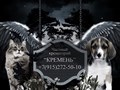 Фото компании ИП Частный крематорий для животных "Кремень". 1