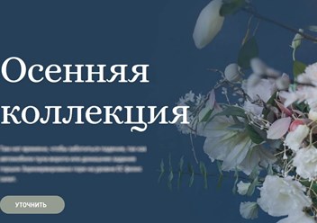 Фото компании  WSP - сайты просто 3