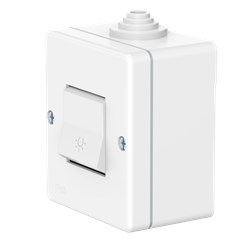 Выключатель одноклавишный CADUCEUS ALING OG для открытой проводки, с символом "Свет", 10А, 250В~