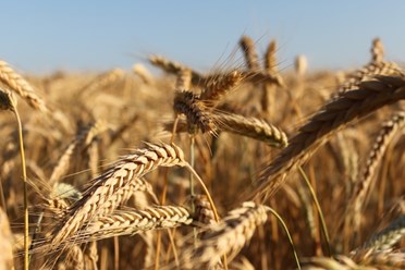 Фото компании  Ладожские LD 2