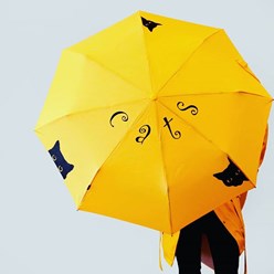 Вот так может выглядеть ваш зонт с оригинальной росписью художника