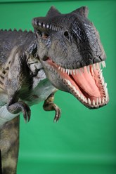 Фото компании ООО «Justshow» 3