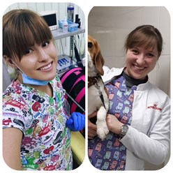 Фото компании ООО Кабинет ветеринарной медицины 32