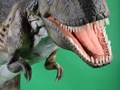 Фото компании ООО «Justshow» 3