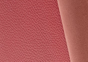 Толедо цвет Мальва