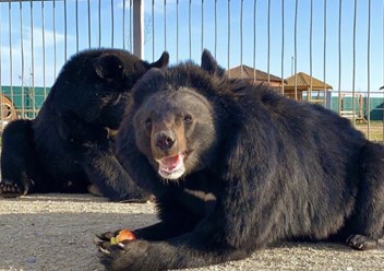 Фото компании ИП Чудесный 6